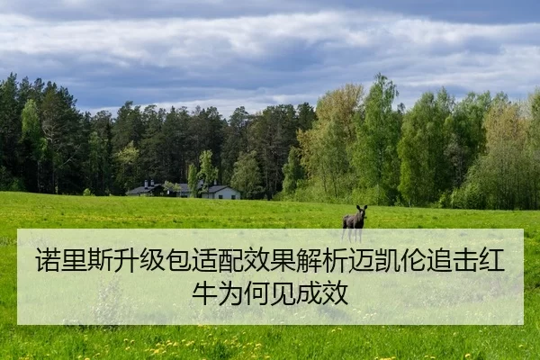 诺里斯升级包适配效果解析迈凯伦追击红牛为何见成效