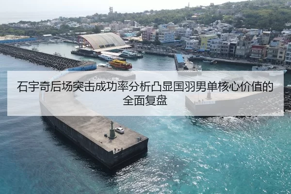 石宇奇后场突击成功率分析凸显国羽男单核心价值的全面复盘