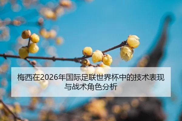 mei-xi-zai-nian-guo-ji-zu-lian-shi-jie-bei-zhong-de-ji-shu-biao-xian-yu-zhan-shu-jue-se-fen-xi-2-939.jpg