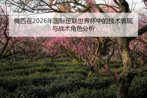 梅西在2026年国际足联世界杯中的技术表现与战术角色分析