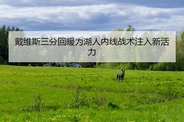 戴维斯三分回暖为湖人内线战术注入新活力