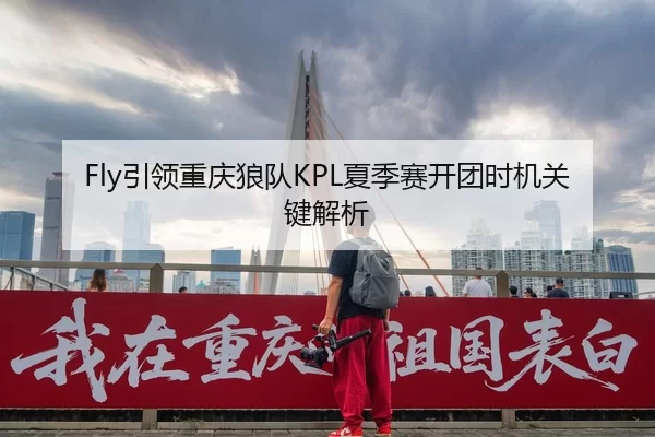 Fly引领重庆狼队KPL夏季赛开团时机关键解析