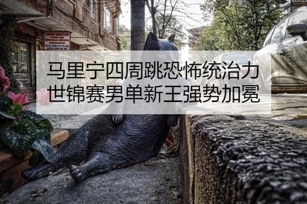 ma-li-ning-si-zhou-tiao-kong-bu-tong-zhi-li-shi-jin-sai-nan-dan-xin-wang-qiang-shi-jia-mian-3-322.jpg