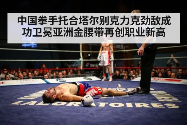 boxer knockout